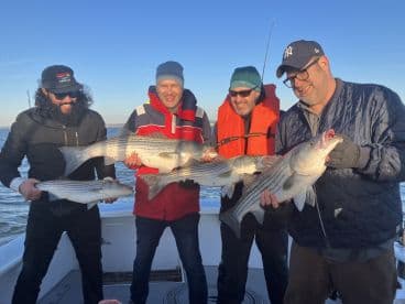 Group of four anglers proudly displaying their catch of striped bass while fishing on a sunny day.