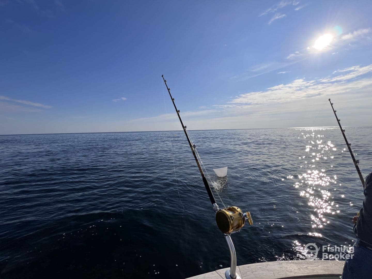 A serene view of the open ocean from a boat, showcasing fishing rods against a clear blue sky.