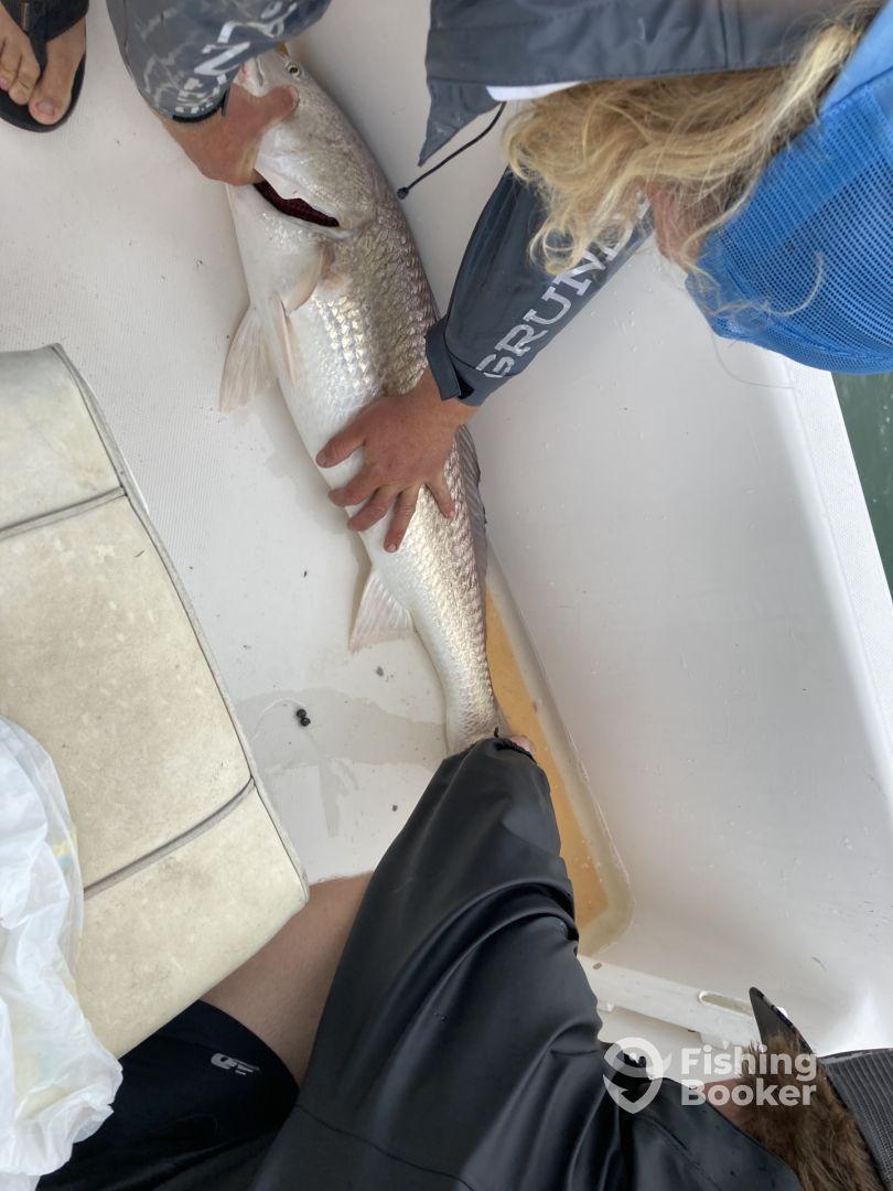 Two anglers working together to handle a large Redfish on the deck of a boat, showcasing teamwork during a fishing trip.