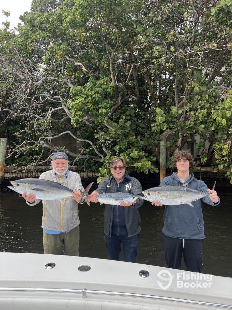 Three anglers proudly displaying their catch of Kingfish after a successful fishing trip in a scenic waterway.