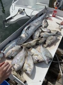 A variety of fish including a large King Mackerel and several Snapper species displayed on a cleaning table at the dock.