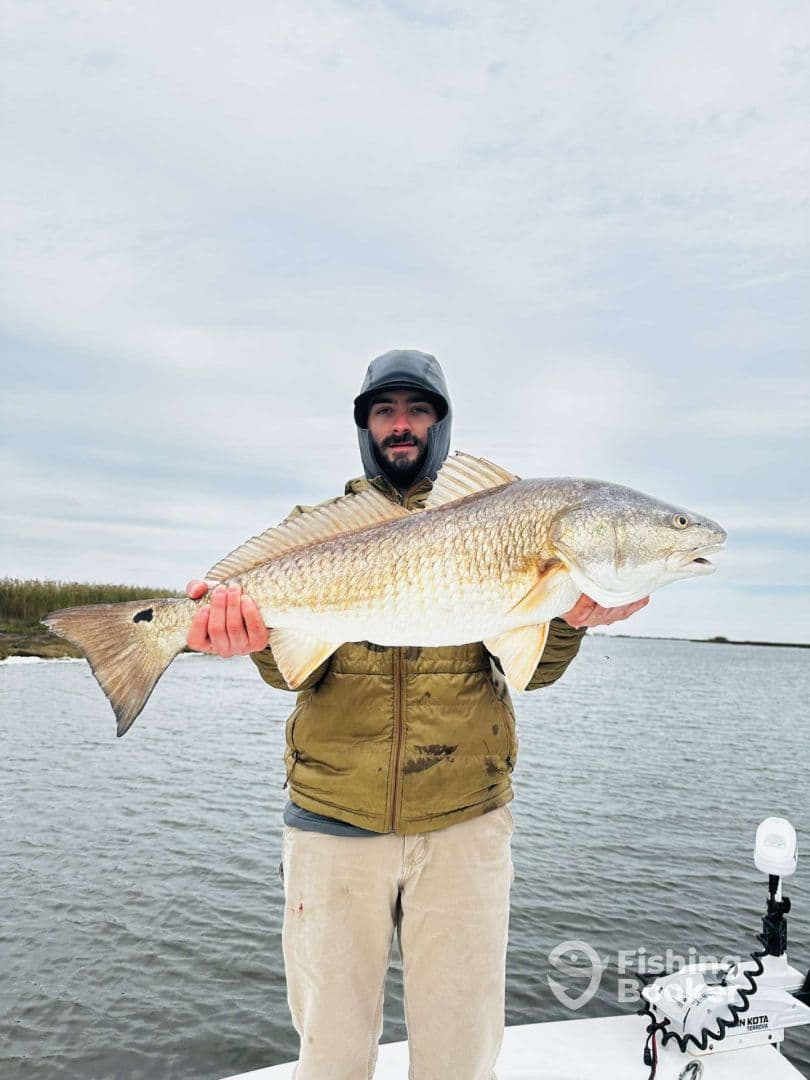 Angler proudly displaying a large Redfish while fishing in a coastal waterway.