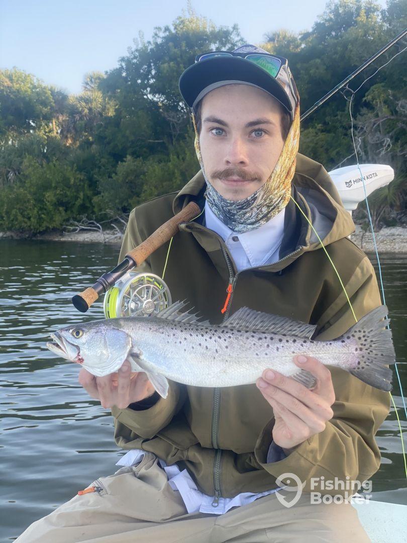 An Honest Review After Almost 100 6 hour trips in 10+ years