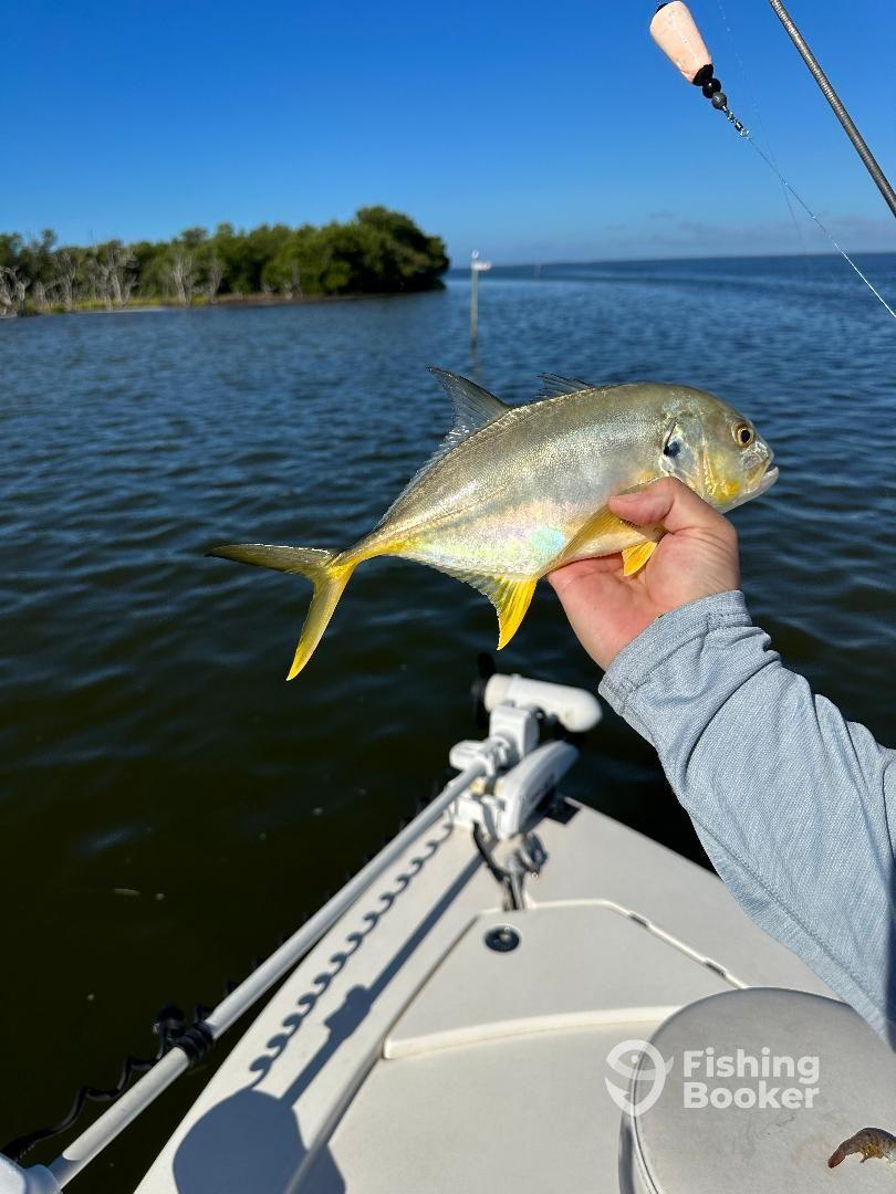 10/10 would recommend Armando 