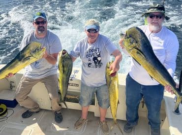 Three anglers proudly displaying their catch of Mahi Mahi aboard a fishing boat, showcasing a successful offshore fishing trip.