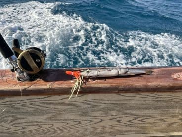 A sleek fish displayed on the boat's railing alongside fishing gear, showcasing a productive day on the water.