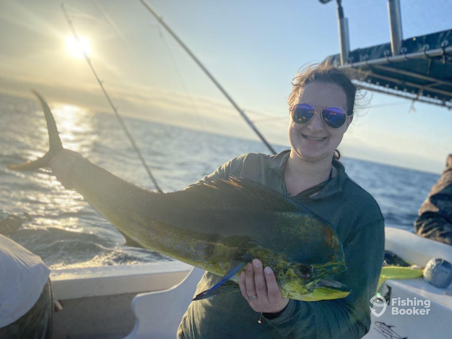 Captain Scooby Rocks. 