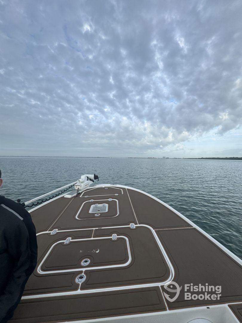 Great time catching SheepHead