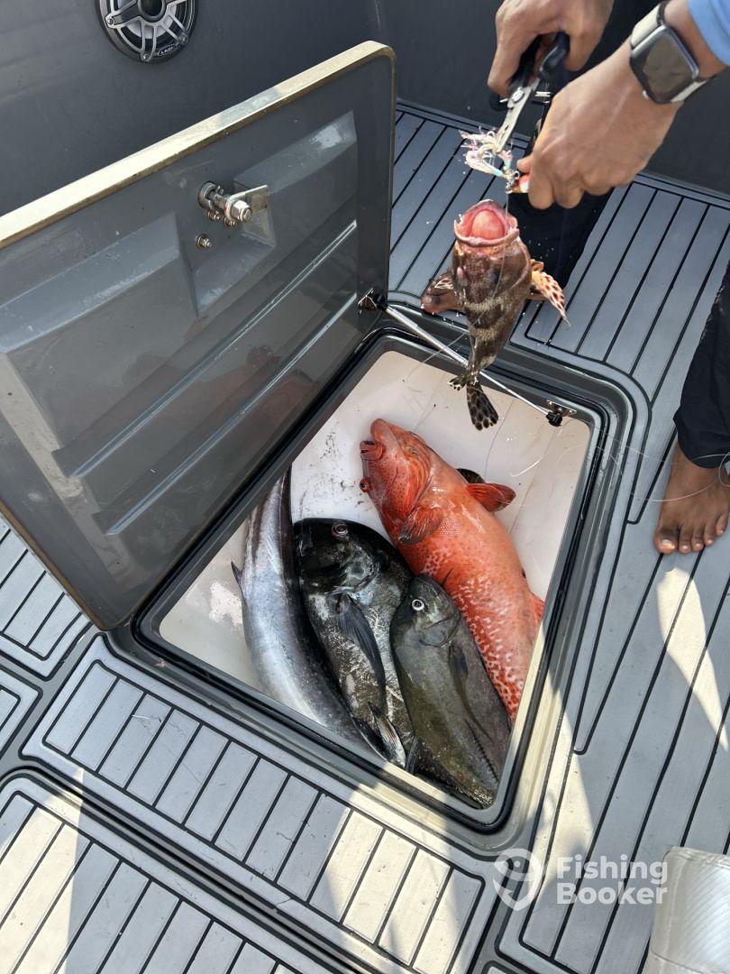 Best fishing charter in Maldives.