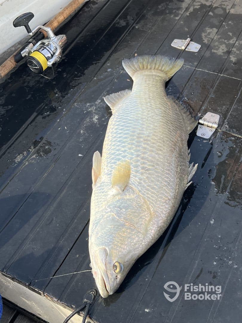 A large fish, likely a Snapper, displayed on the deck of a boat, showcasing the catch from a recent fishing trip.