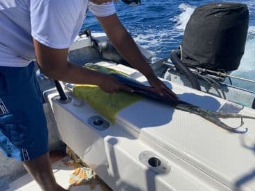 An angler is skillfully filleting a freshly caught fish on the boat, showcasing the vibrant blue waters of the fishing environment.
