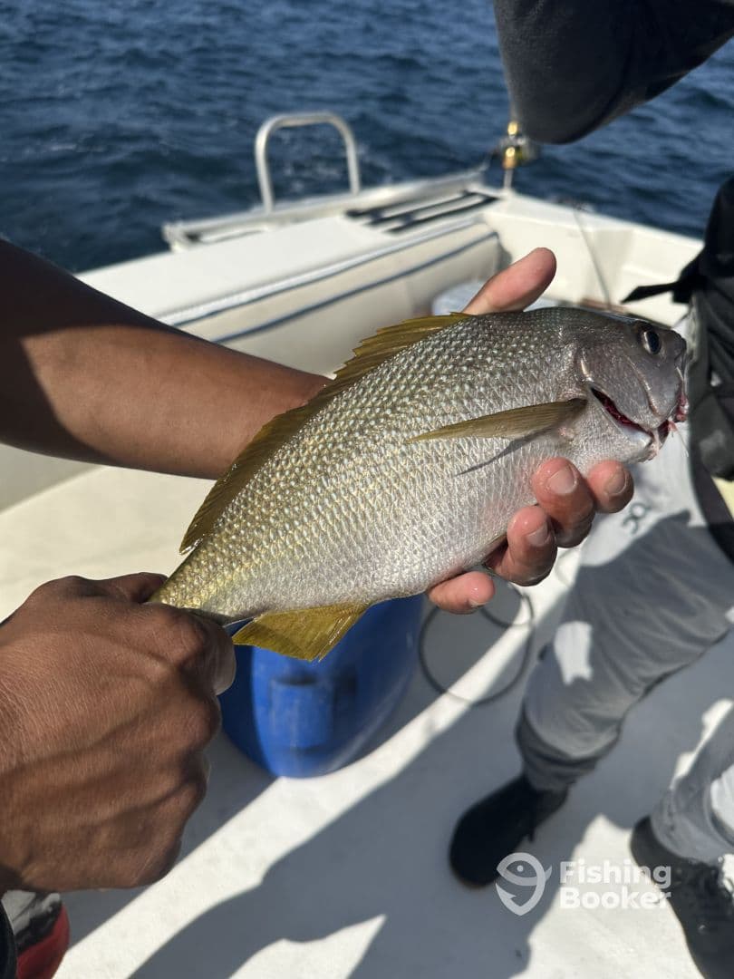 A proud angler displaying a freshly caught fish on a boat, showcasing the excitement of a successful fishing trip.