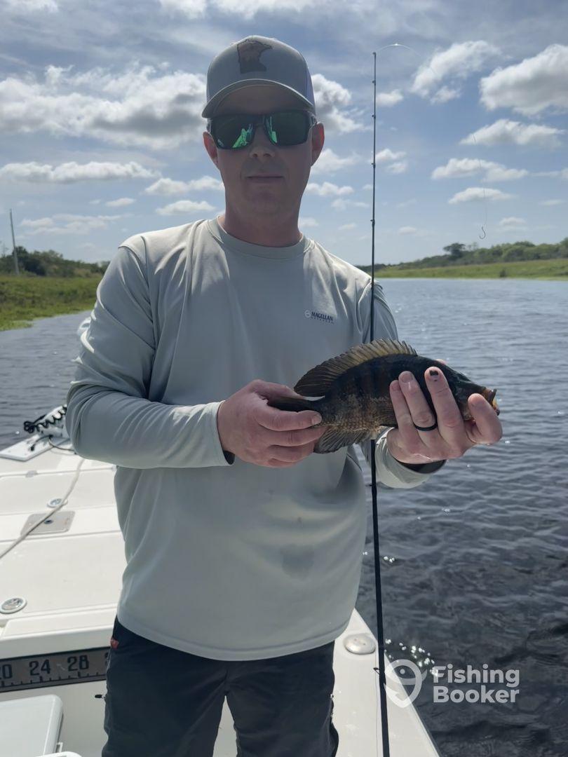 6 Hour Everglades trip