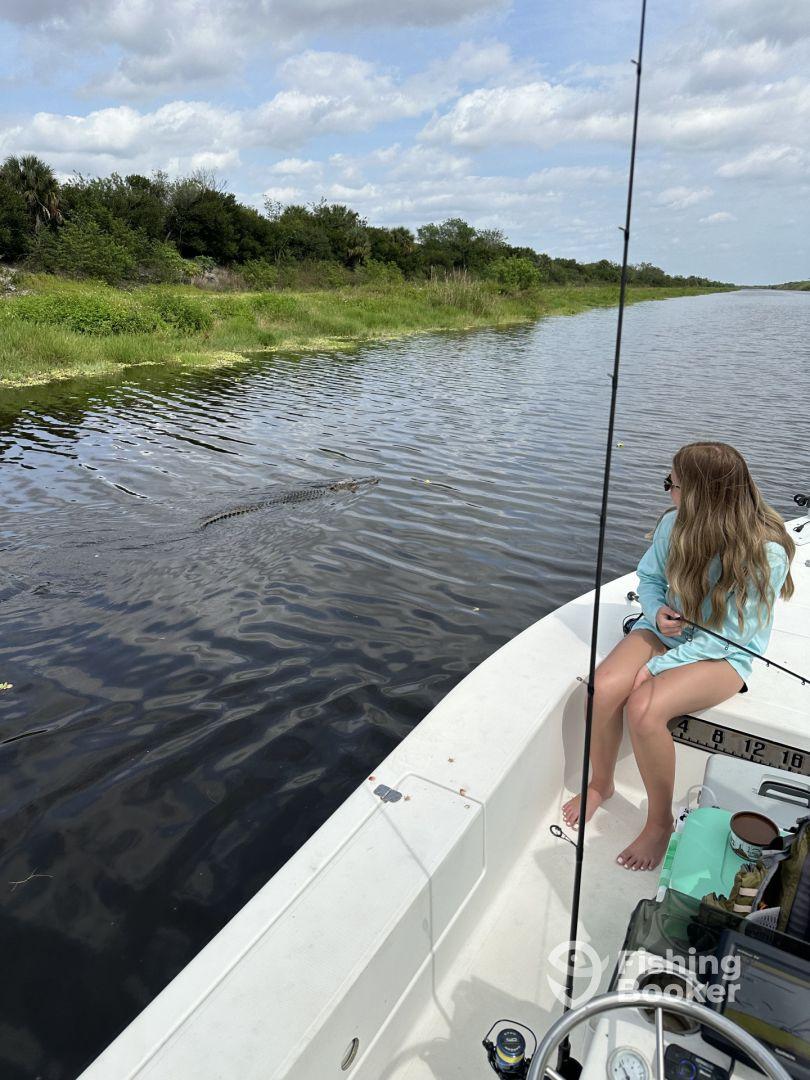 6 Hour Everglades trip