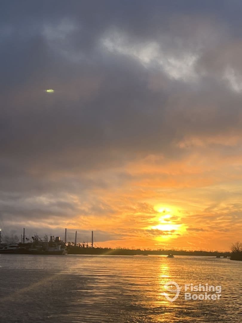 A scenic sunset over the water, with silhouettes of boats and masts in the background, creating a tranquil fishing environment.