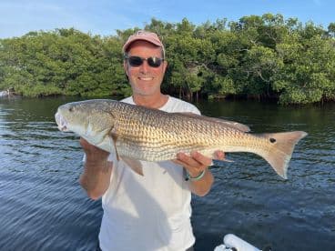 Angler proudly displaying a large Redfish while fishing in a mangrove-lined area.
