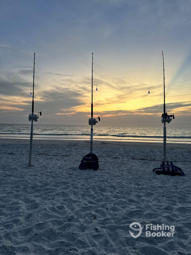 Fishing rods set up on the beach at sunset, creating a serene fishing atmosphere.