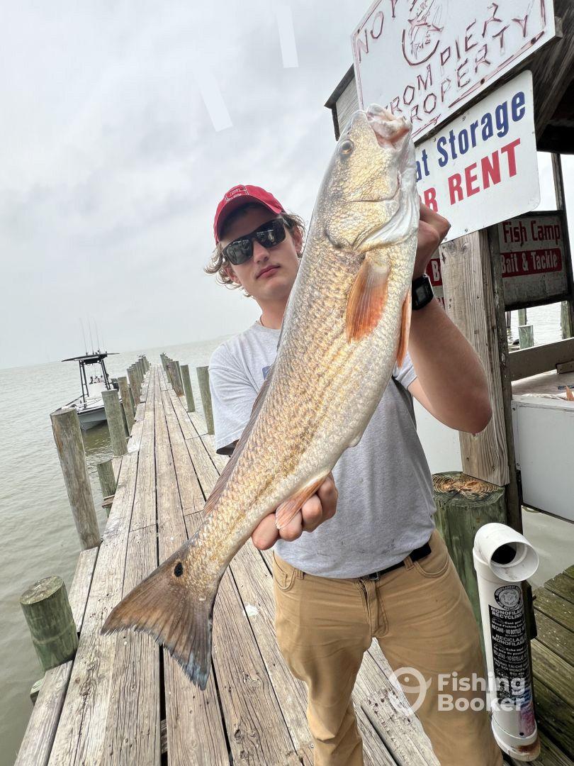 Best guide in Houston 