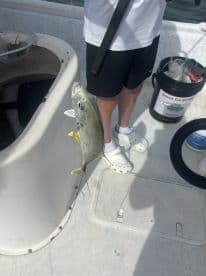 A young angler proudly displaying a small Yellowtail Snapper while fishing on a boat.