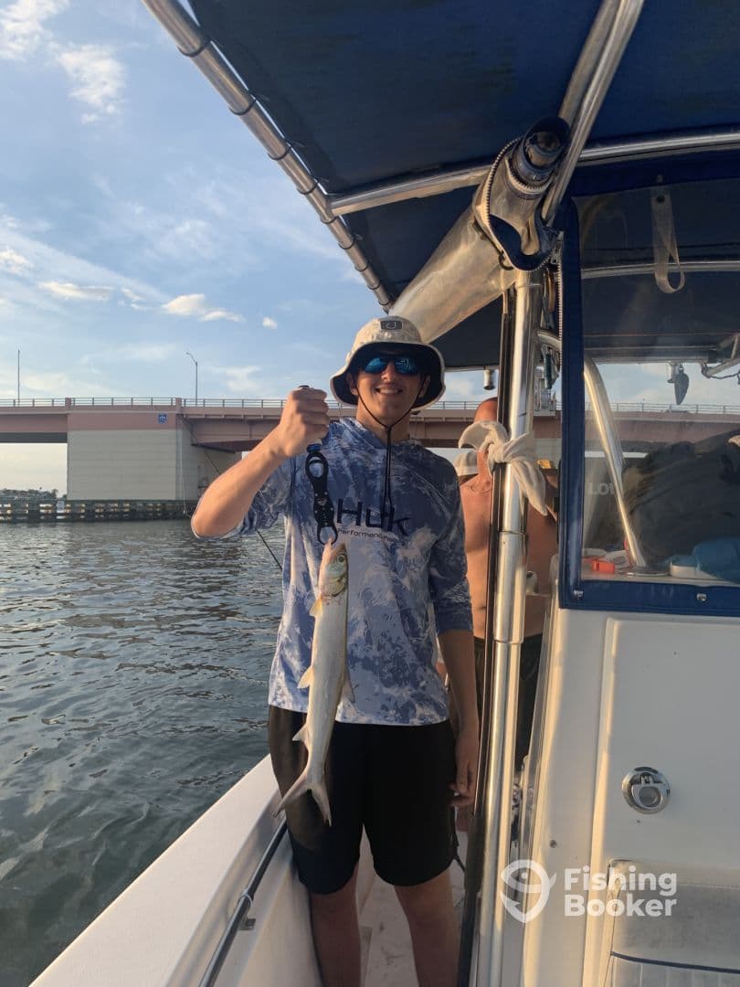 Angler proudly displaying a caught fish while on a boat, with a bridge in the background, showcasing a vibrant fishing environment.
