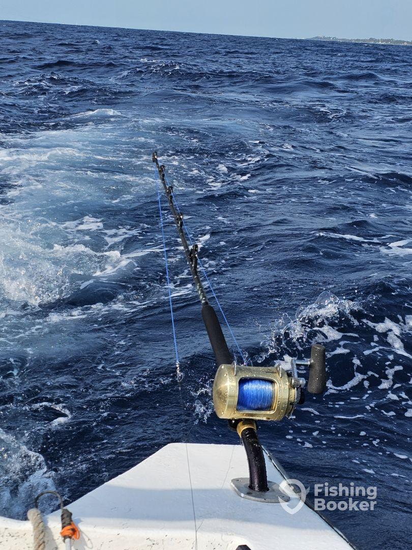 4 hours AM Fishing Trip