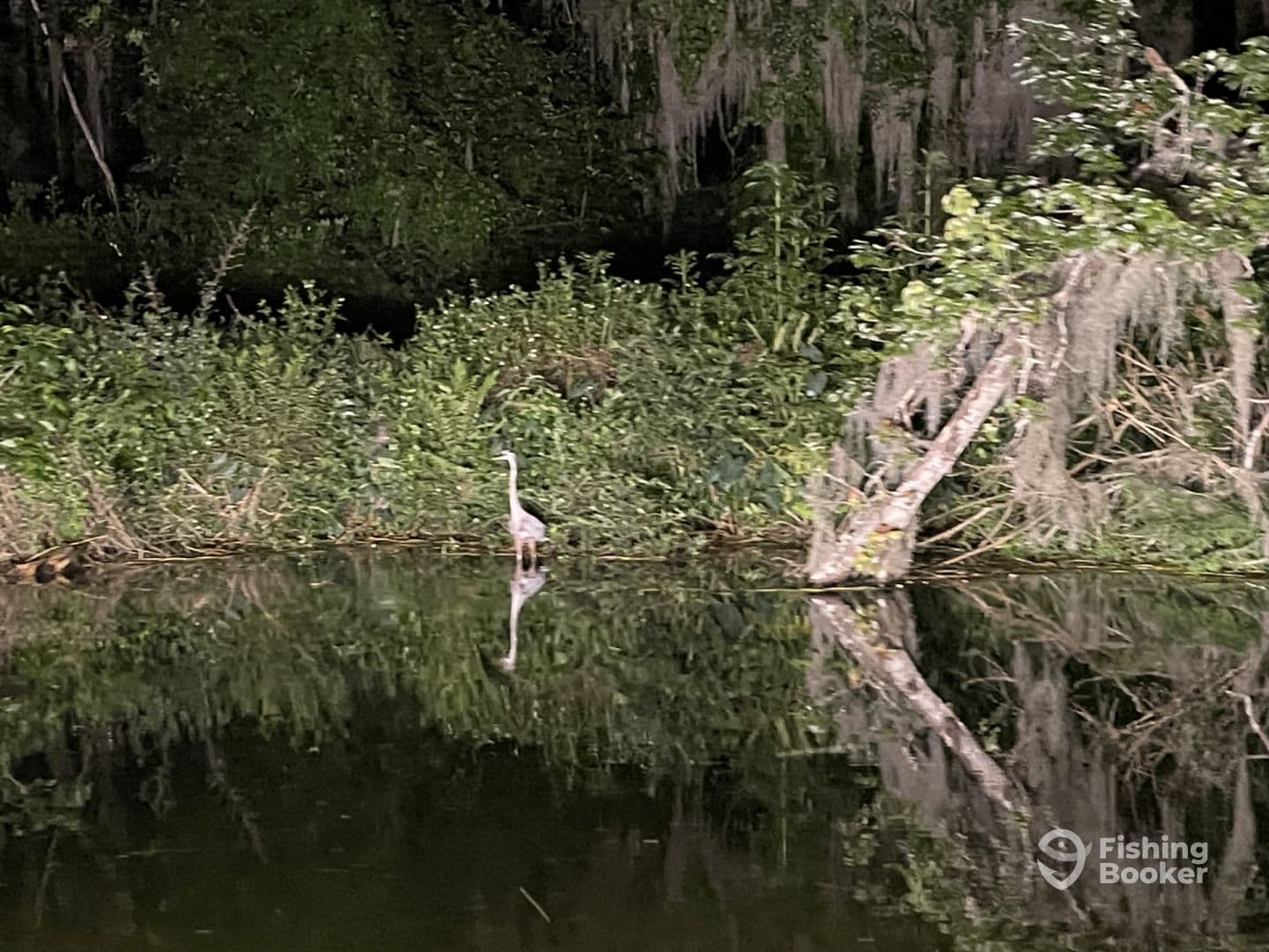 A serene nighttime scene featuring a heron standing by the water's edge, surrounded by lush vegetation, reflecting in the calm water.
