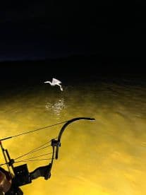 A nighttime scene featuring a bowfishing setup with a bird taking flight over illuminated water.