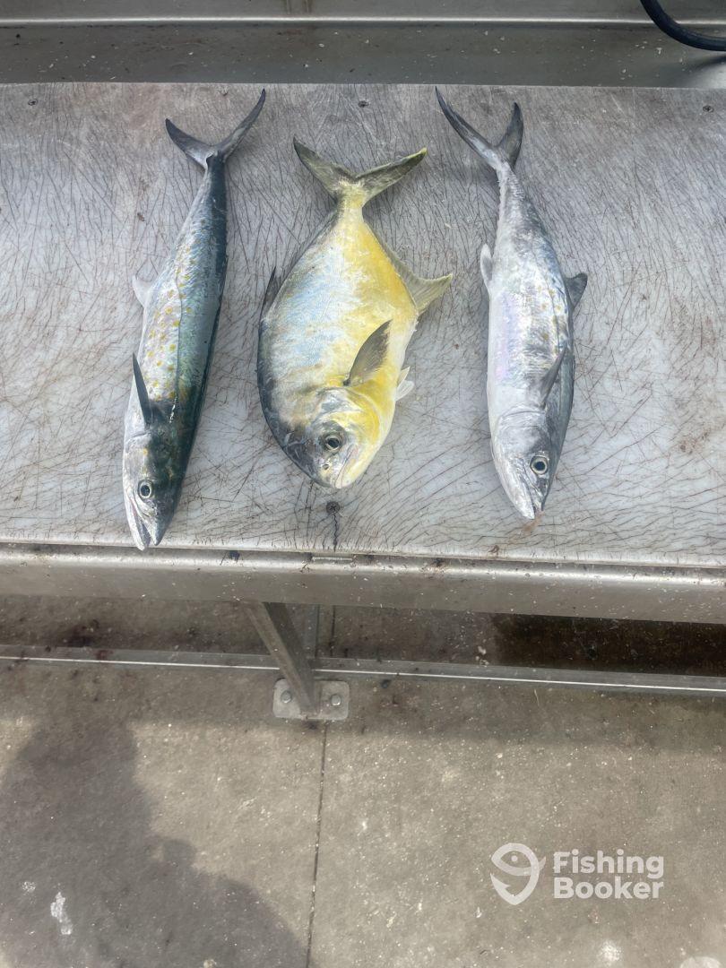 Great day with capt Dave!