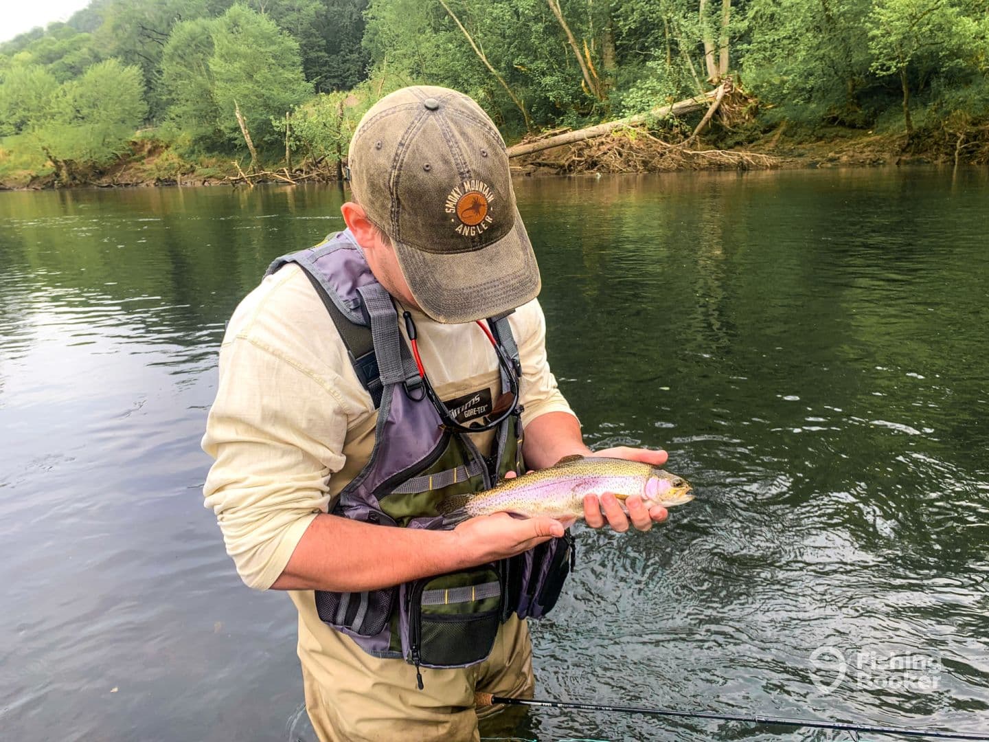 Angler holding a vibrant Rainbow Trout while wading in a serene river, surrounded by lush greenery.