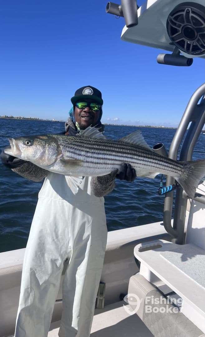 Angler proudly displaying a large striped bass while fishing on a boat, showcasing a successful day on the water.