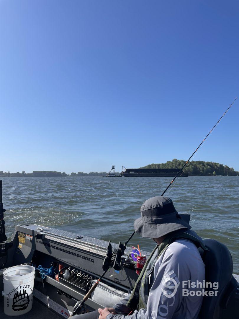 Fantastic Mothers Day