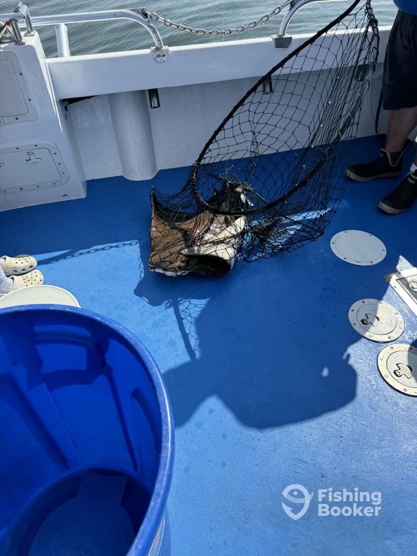 An interior shot of a fishing boat showing a net and a blue bucket, with minimal visible details.