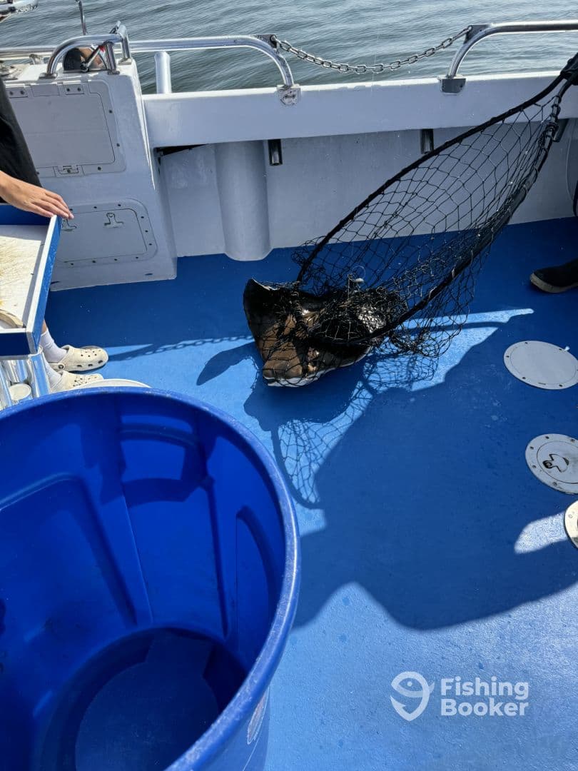 An interior view of a fishing boat with a net and a blue bucket, capturing the fishing environment but lacking a clear subject.