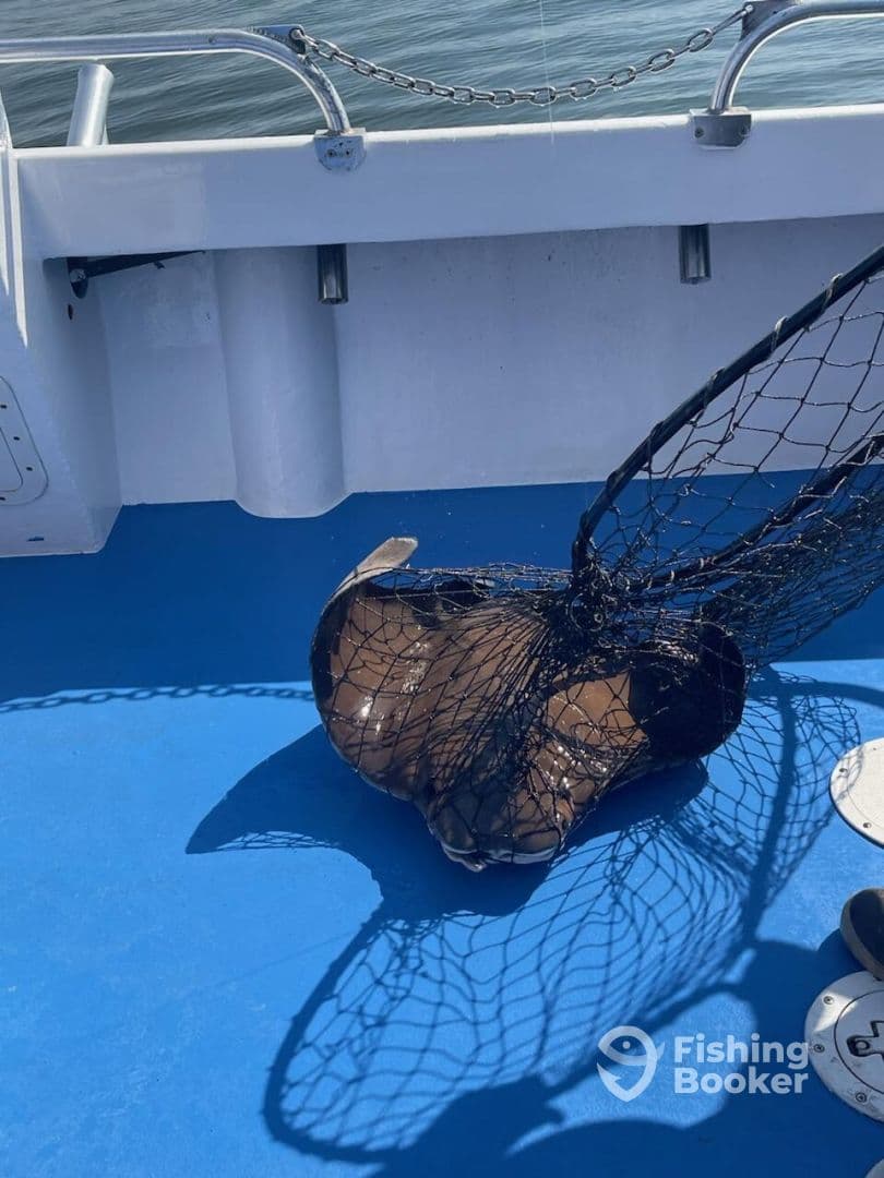 A stingray is caught in a net on the deck of a fishing boat, showcasing the fishing environment.