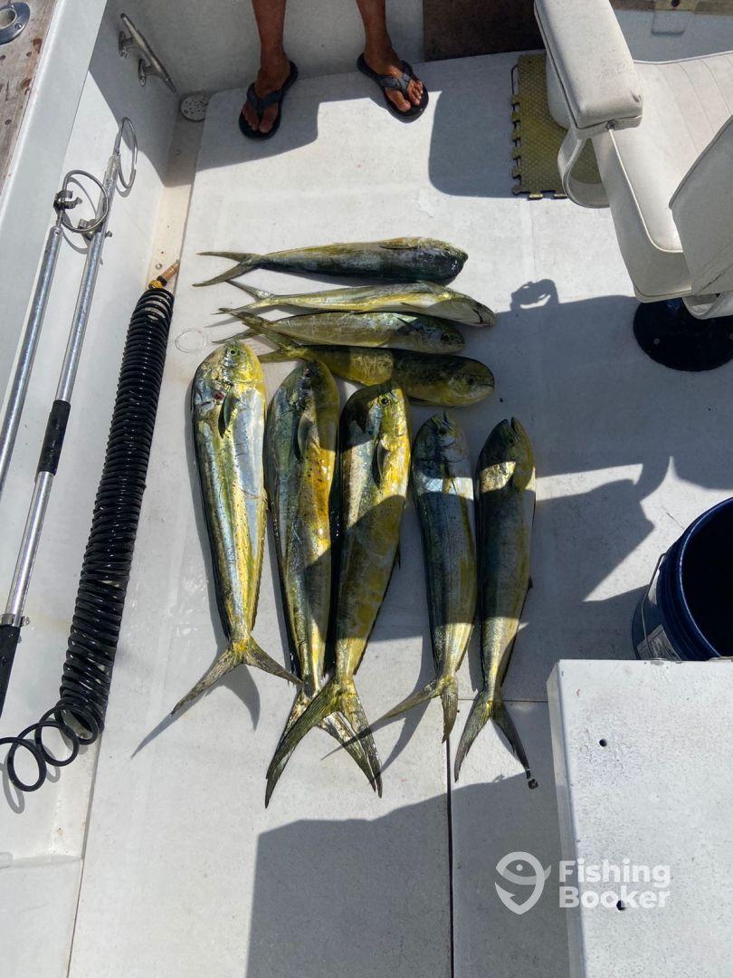 Great fishing and great crew