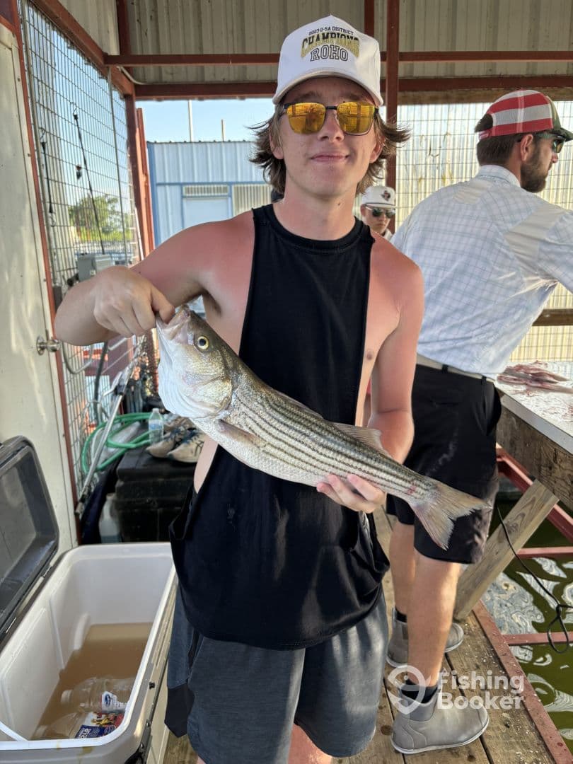 A young angler proudly displaying a striped bass at a fishing dock, showcasing a successful catch during a summer fishing trip.