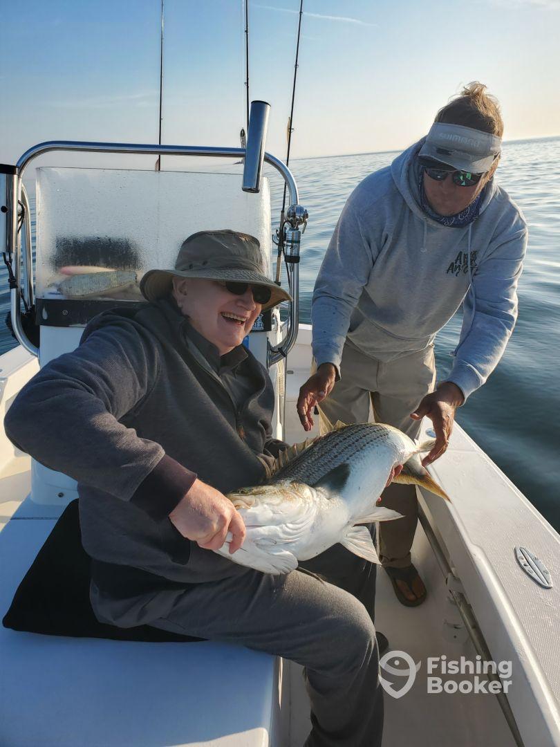 Huge fish everywhere!