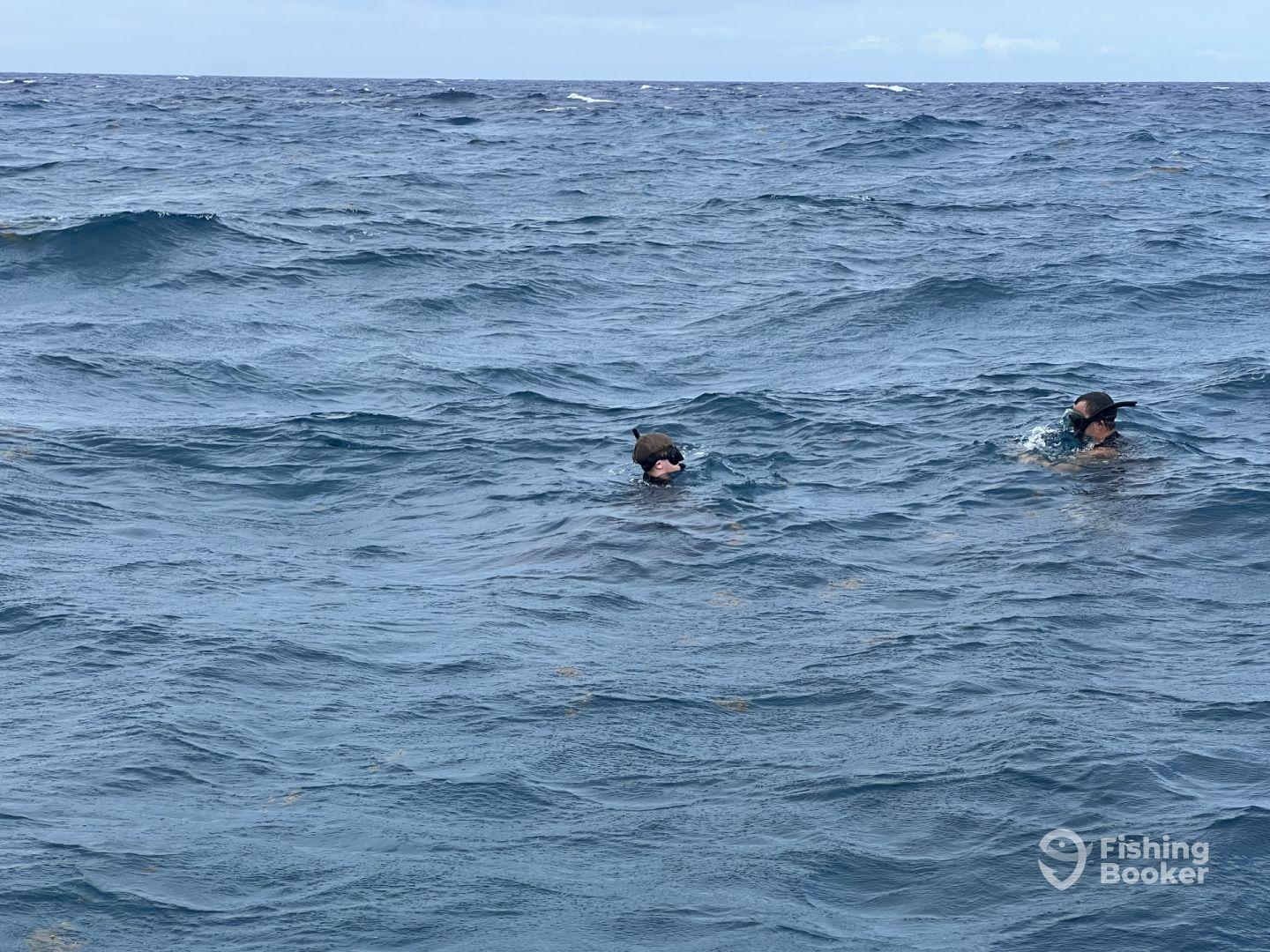 Two individuals swimming in open water, possibly engaged in snorkeling or diving activities.