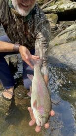 Angler proudly displaying a vibrant Rainbow Trout while standing in a stream, showcasing a successful catch during a freshwater fishing trip.
