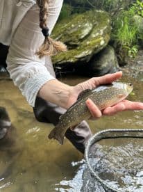 Angler holding a vibrant Brook Trout in a serene stream environment, showcasing a successful catch during a freshwater fishing adventure.