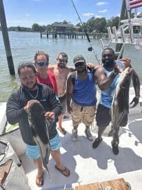 Group of anglers proudly displaying their catch of large Black Drum on a sunny day, showcasing a successful fishing trip.