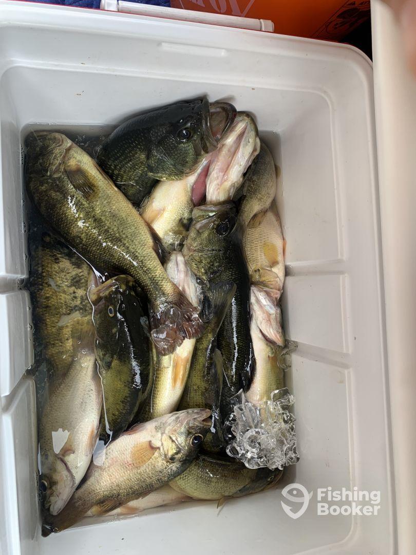 Awesome bass season start!!!