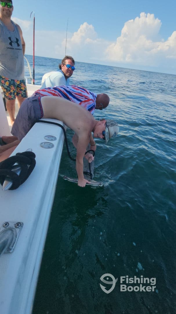 Anglers actively reeling in a fish while enjoying a day on the water, showcasing the excitement of deep-sea fishing.