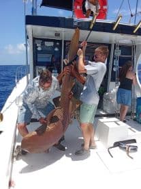 Anglers working together to reel in a large shark aboard a fishing charter in open waters, showcasing teamwork and excitement.