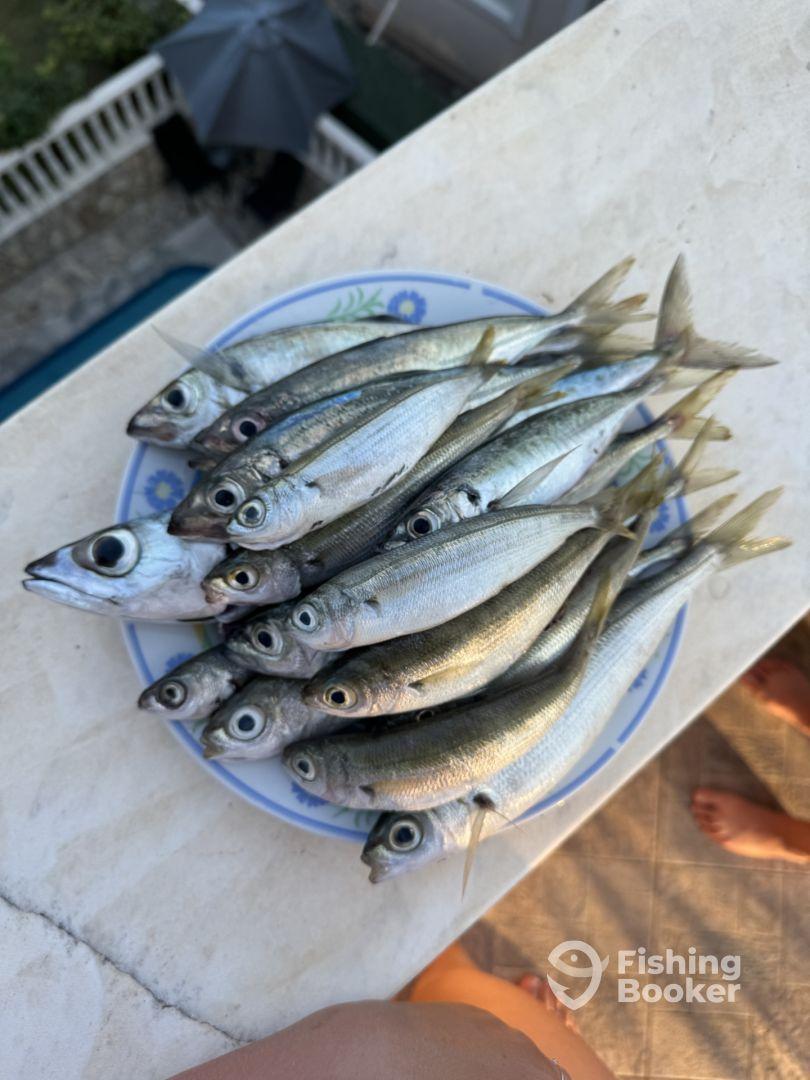 Отличная рыбалка