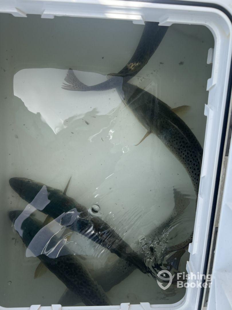 Old Salt made our trip good