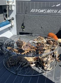 A crab trap filled with freshly caught crabs on the deck of a fishing boat, showcasing a successful crabbing trip.