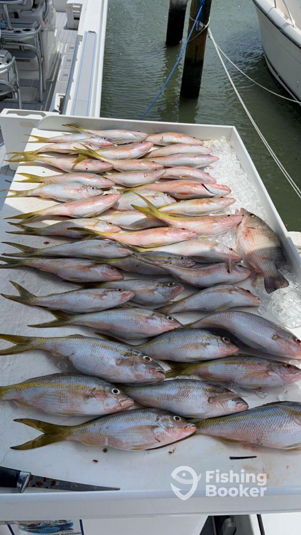 The Snappers were snapping!