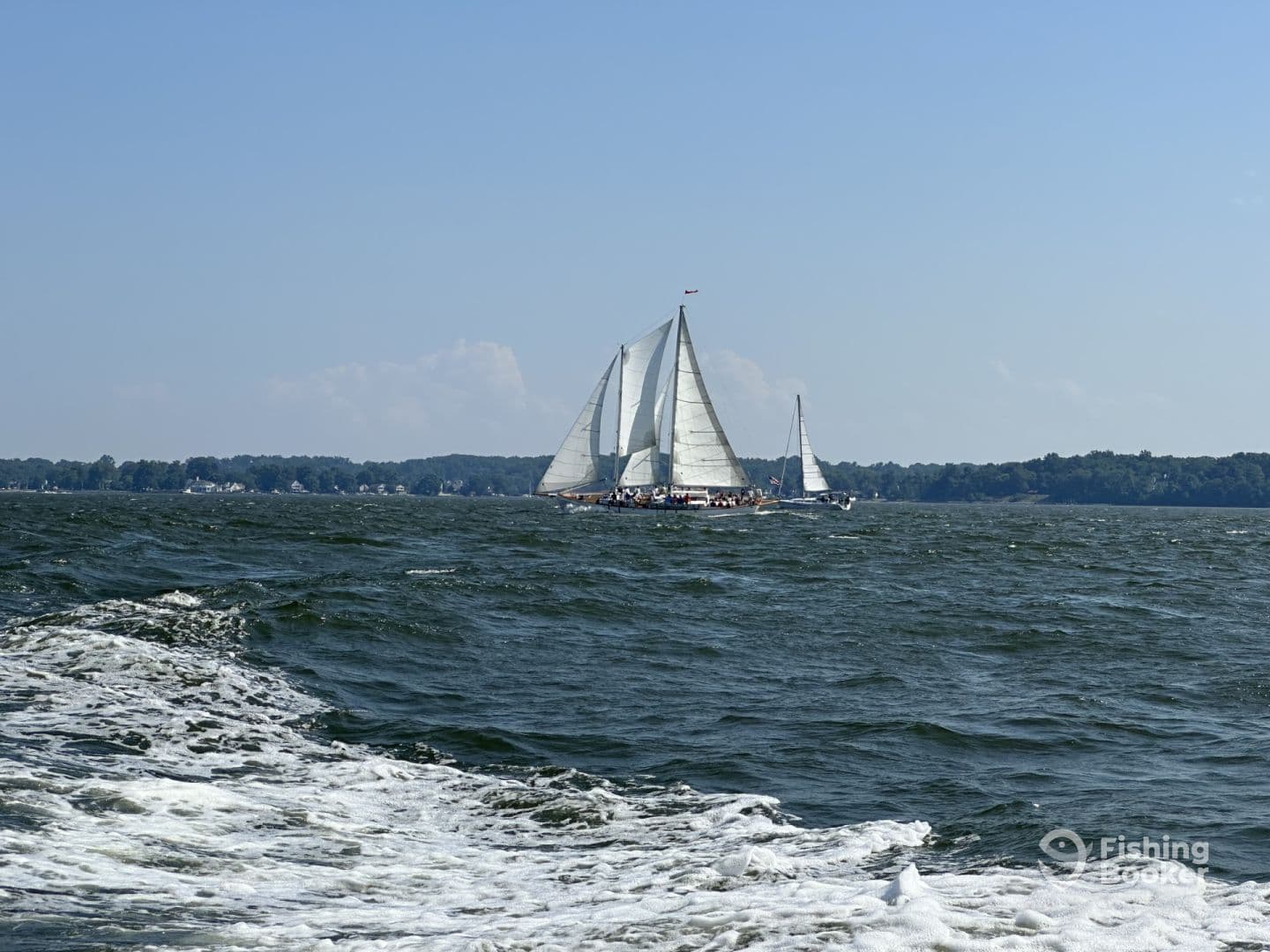 Sailboats navigating through the waves on a sunny day, showcasing a lively sailing environment.