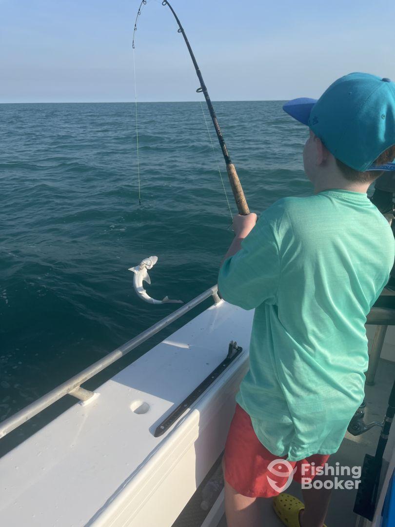 10/10 Amazing for kids and adults 